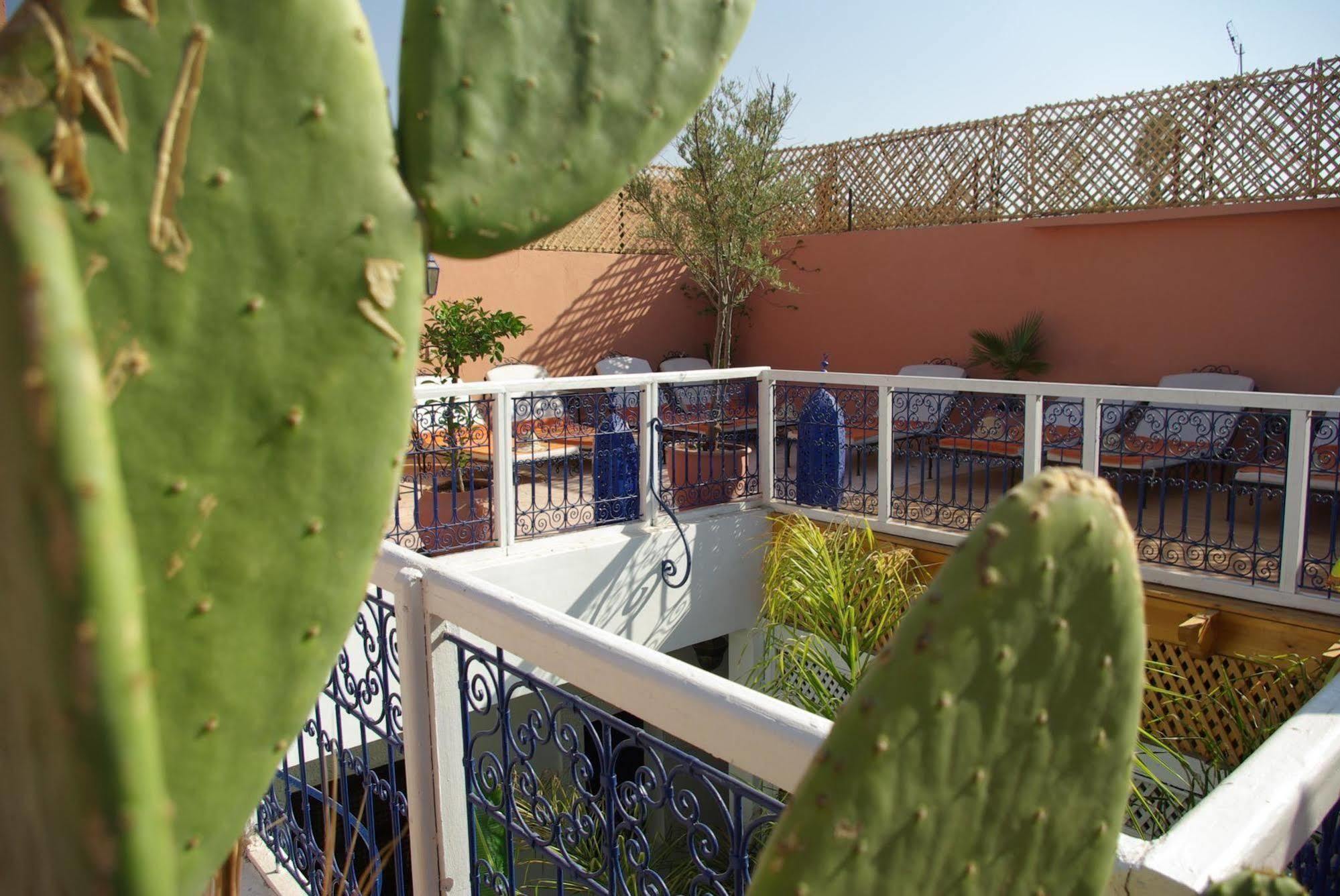 Riad Abaca Badra มาร์ราเกช ภายนอก รูปภาพ